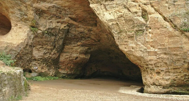 For 25 years, a man has been living alone in a cave with his dog. Take a look inside the cave now!