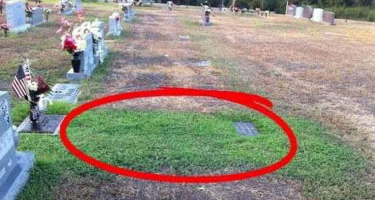 Stranger Keeps Secretly Visiting Soldier’s Grave, When Mom Finds Out ‘Why’ She Tracks Him Down